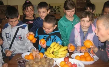 4,5 млн.лв. за плод и мляко в училище