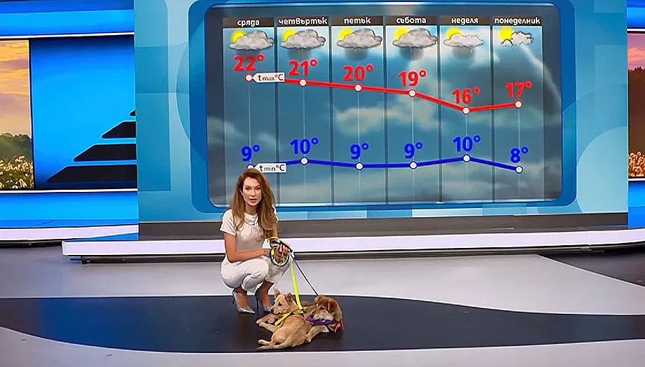 Никол Станкулова шокира всички! Как води времето