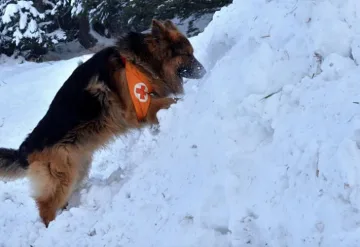 Трети ден без следа за бащата и сина в планината