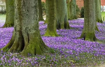 Къде у нас днес имаше температурни рекорди