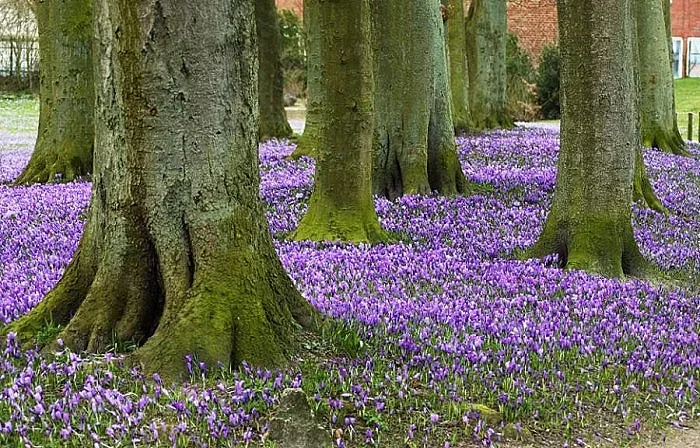 Къде у нас днес имаше температурни рекорди