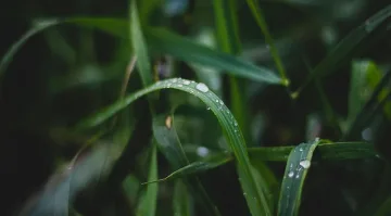 Седмицата започва със слънце, но носете чадър в тези райони България