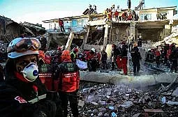 Изгоряха коне, които деца аутисти яздеха