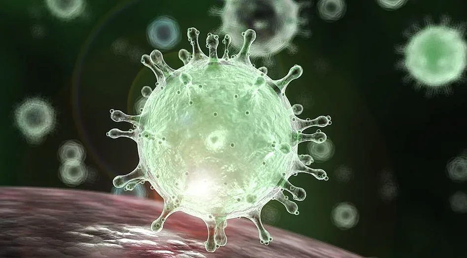 Какво е коронавирусът и колко да се притесняваме?