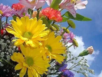 Пролетта подрани, 15 градуса днес