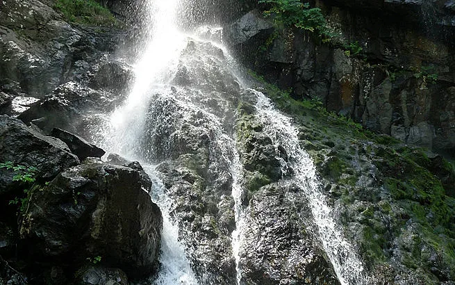 Какво разказа очевидец за трагедията на Боянския водопад