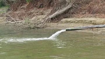 Прокуратурата влезе в завод за хартия