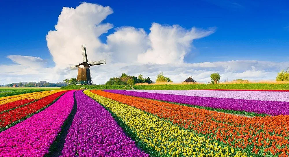 Нидерландия открива сезона с Ден на лалето