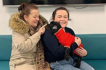 Пуделът- беглец, който пропътува 800 км