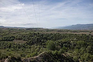 Приключи втория етап на ЧЕЗ за опазване на застрашени птици