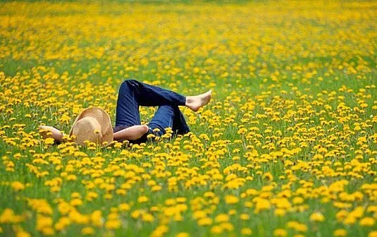 Час мързел обещава щастие