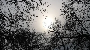 С какво време ще изпратим 2019 година?