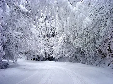 8 области с жълт код за опасно време в неделя