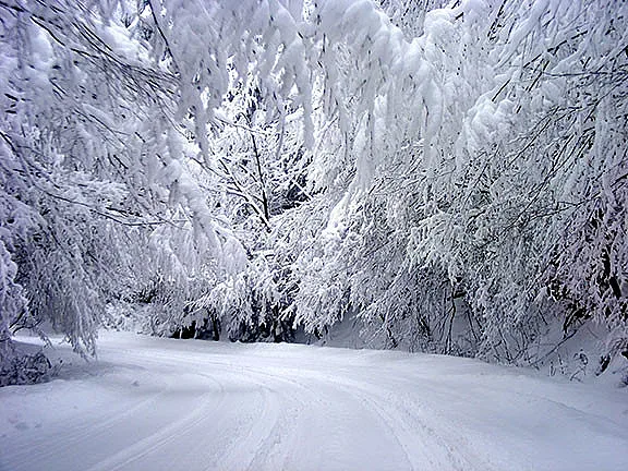 8 области с жълт код за опасно време в неделя