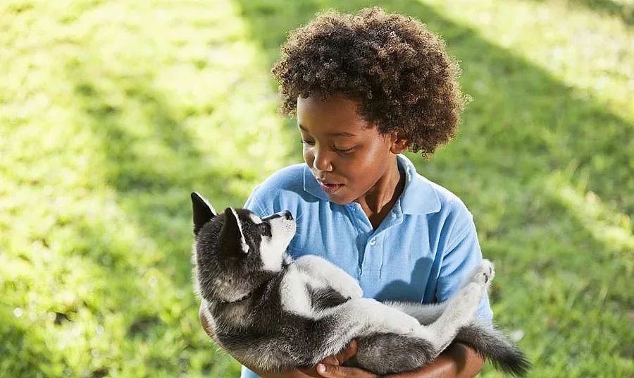 Вземете куче на детето срещу шизофрения