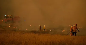 Австралия се бори с 50-градусов климатичен ад!