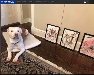 Продадоха за 4000 долара картини, рисувани от куче