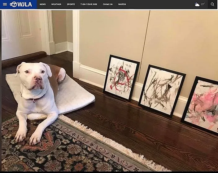 Продадоха за 4000 долара картини, рисувани от куче