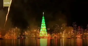 Рио Де Жанейро има плаваща украсена елха