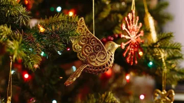 В Ямбол запалиха коледната елха