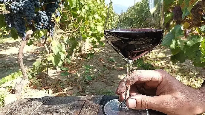 Ще посегнат ли на домашното вино и ракията