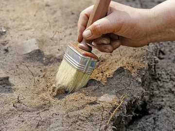 Откриха нов вид динозавър