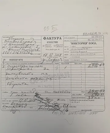 В Благоевград запалиха коледните светлини без заря