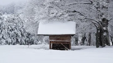 Обилни снеговалежи на много места в страната