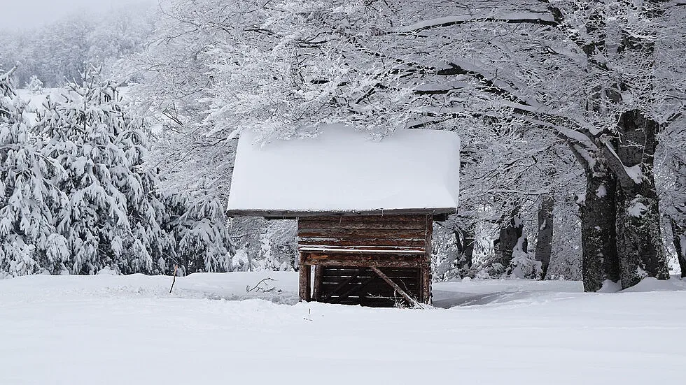 Обилни снеговалежи на много места в страната