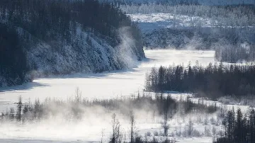 Вижте кученце на 18 000 години, открито в Сибир