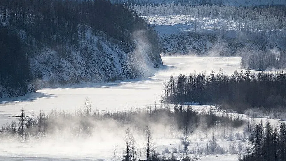 Вижте кученце на 18 000 години, открито в Сибир