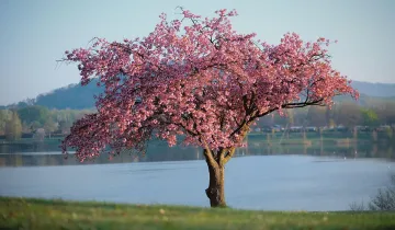 Обратът на времето е тук! Ето кога идат априлските жеги