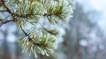 Зимата идва с по-ниски температури