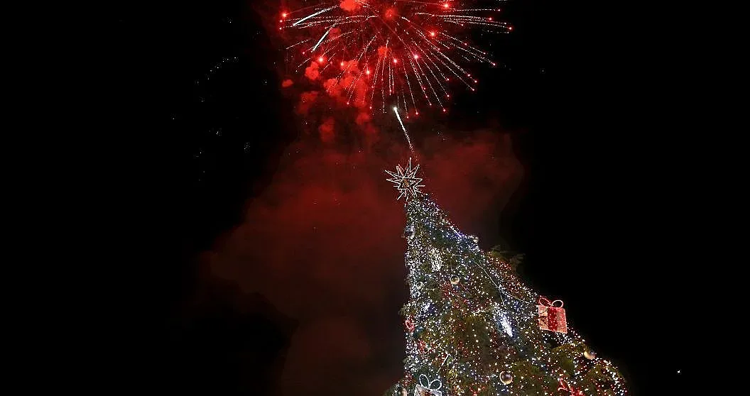 Заблестя коледната елха в София