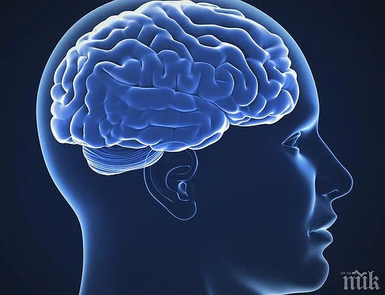 Увреждаме ли мозъка с преяждане?