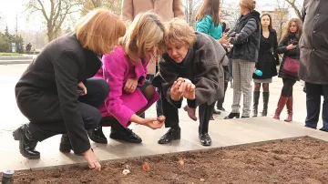Лалета в цветовете на флага ни в София напролет