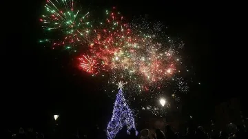 Елхата в София светва на 1 декември