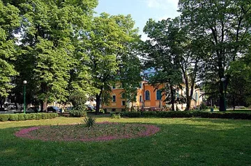 Палми спирали дъха в парка на Видин