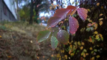 Дъждовете продължават, обявен e жълт код