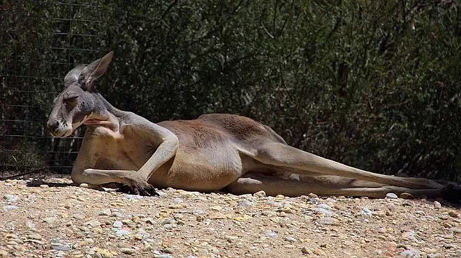 Топла прегръдка от Аби