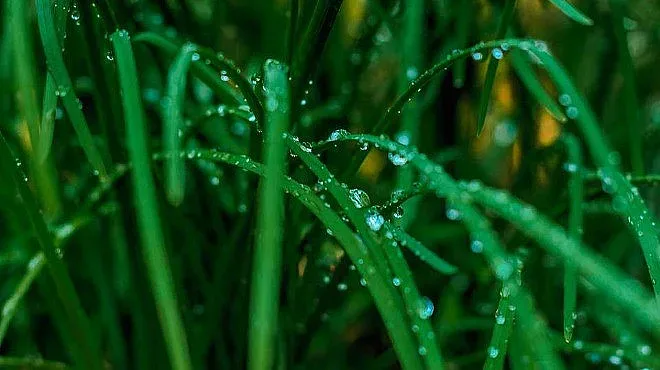 Облачно, но топло ще е днес