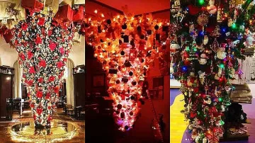 Нова мода: Елхите висят с върха надолу