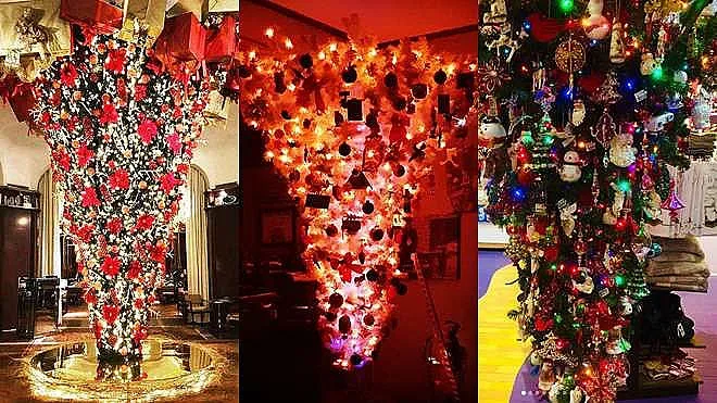 Нова мода: Елхите висят с върха надолу