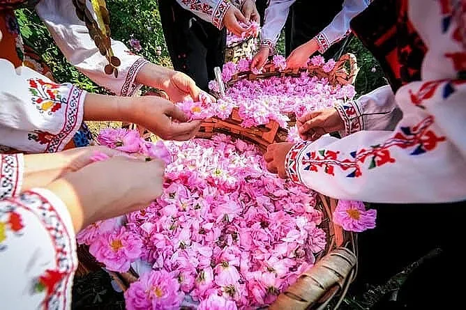 Италианска медия представи Празника на розата като едно от най-вълнуващите културни събития