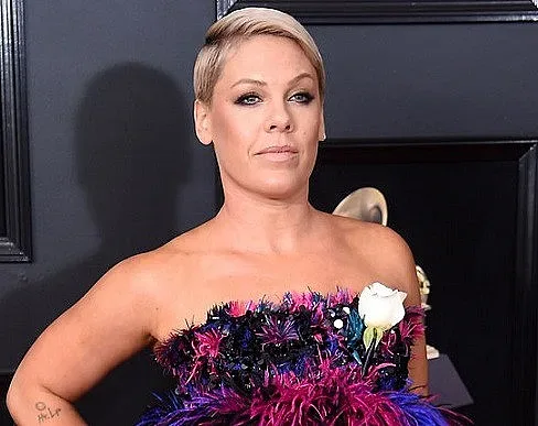 Пинк била напушена за музикално видео