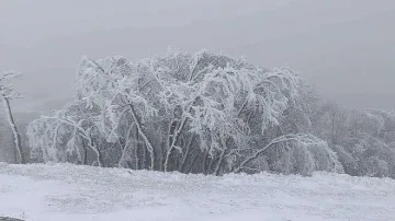 Части от България побеляха (СНИМКИ)