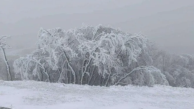 Части от България побеляха (СНИМКИ)