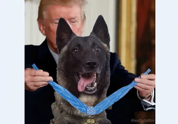 Тръмп посреща кучето герой, ранено в Сирия