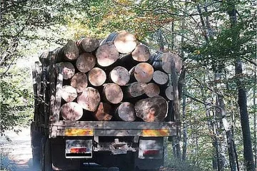 Камион премаза горски инспектор