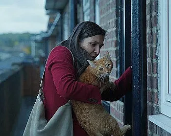 „Котка в стената“ с премиера на Киномания